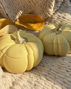 Pumpkin Soy Candle - SPICED PUMPKIN